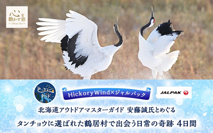 北海道アウトドアマスターガイド 安藤誠氏とめぐる タンチョウに選ばれた鶴居村で出会う日常の奇跡　4日間