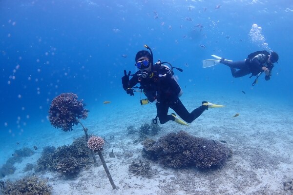 〔10歳以上65歳以下/ダイビングライセンス（Cカード）保有者限定〕〔沖縄本島〕ファンダイビング　ピンクマーリンクラブ（恩納村）