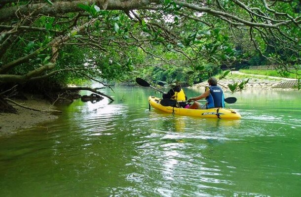 〔最少催行人員2名〕比謝川マングローブ探検カヤックツアー