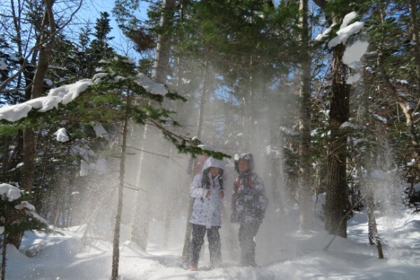 〔2名以上限定〕〔知床〕フレペの滝スノーシューイング