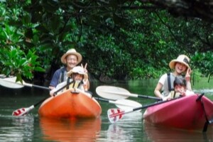 〔石垣島〕 宮良川マングローブカヌー体験