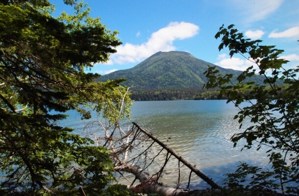 〔阿寒〕ボッケの森ガイドウォーク