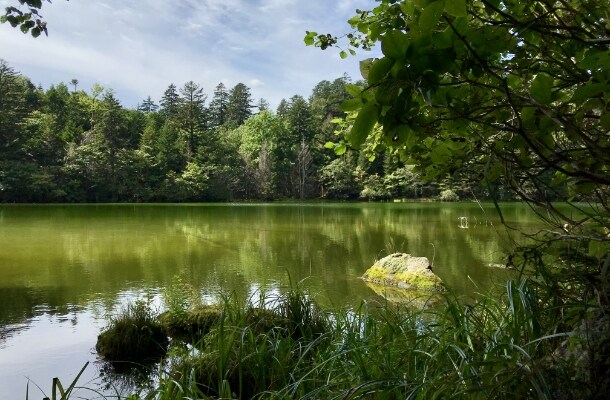 〔阿寒〕神秘の秘湖トレッキング