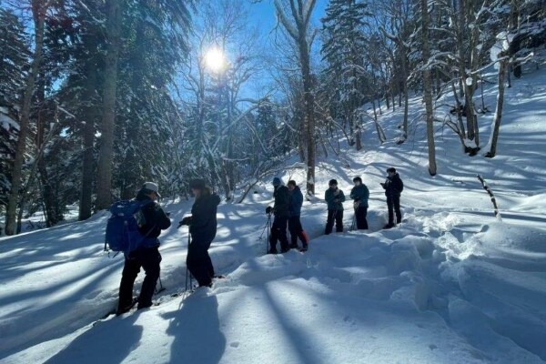 〔2名以上限定〕〔阿寒〕ボッケ(泥火山)の森スノーウォーク