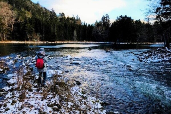 〔2名以上限定〕〔阿寒〕神秘の秘湖トレッキング(冬季)