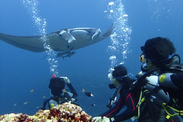 〔10歳以上64歳以下/ダイビングライセンス（Cカード）保有者限定〕〔石垣島〕ファンダイビング　プライム・スクーバ石垣