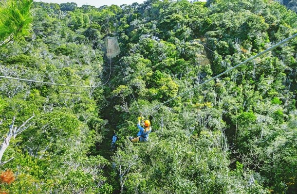 〔沖縄本島〕やんばるジップラインアドベンチャー