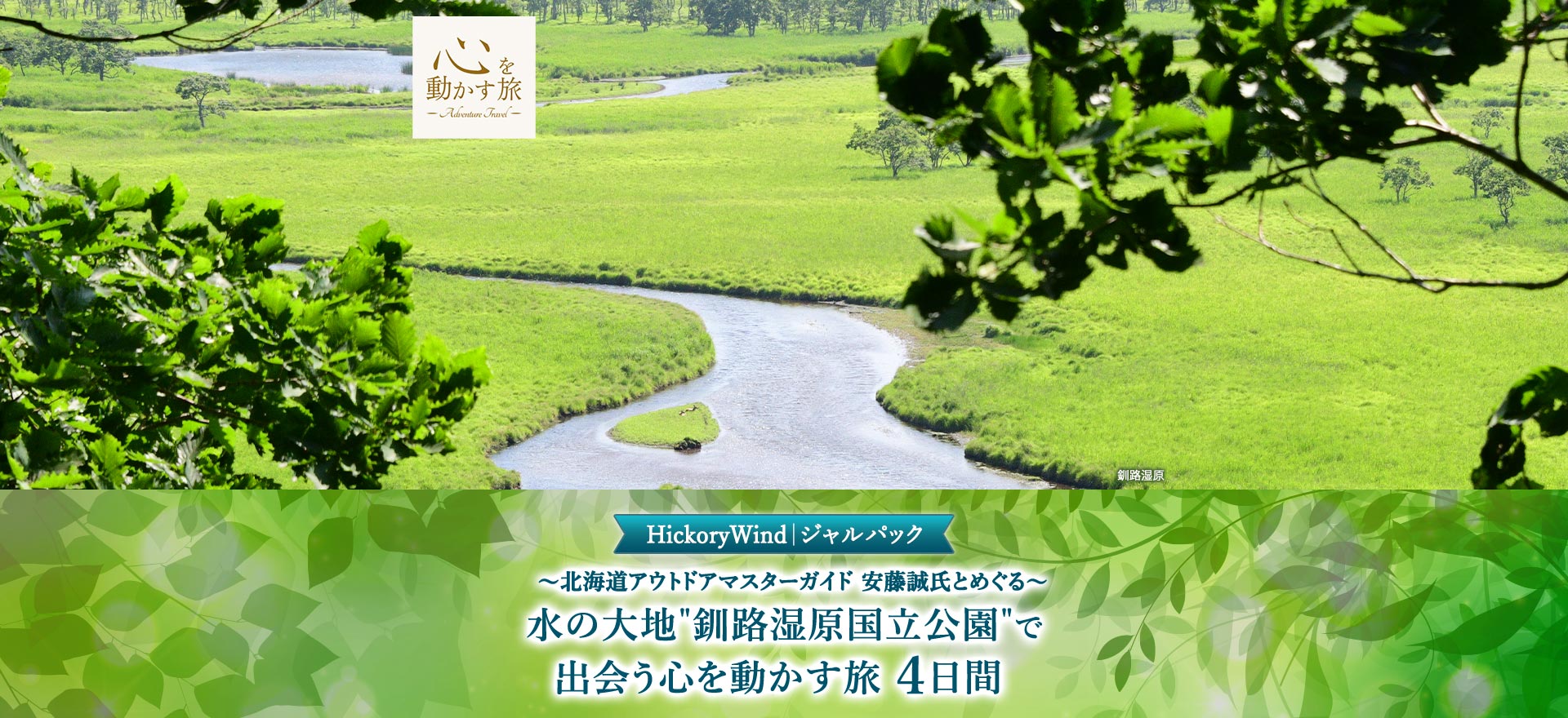 HickoryWind | ジャルパック ～北海道アウトドアマスターガイド 安藤誠氏とめぐる～　水の大地 "釧路湿原国立公園" で出会う心を動かす旅　4日間 