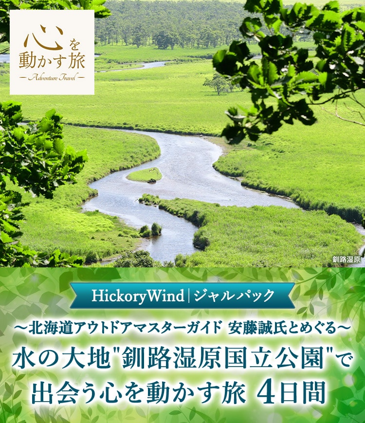 HickoryWind | ジャルパック ～北海道アウトドアマスターガイド 安藤誠氏とめぐる～　水の大地 "釧路湿原国立公園" で出会う心を動かす旅　4日間 