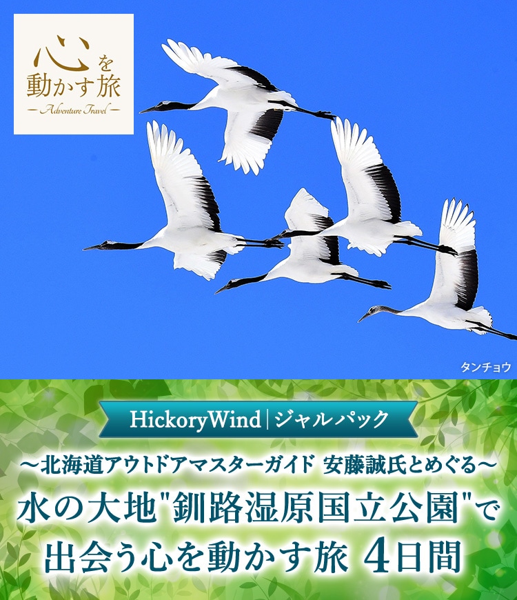 タンチョウ