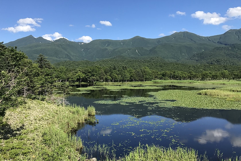 知床五湖ガイドウォーク