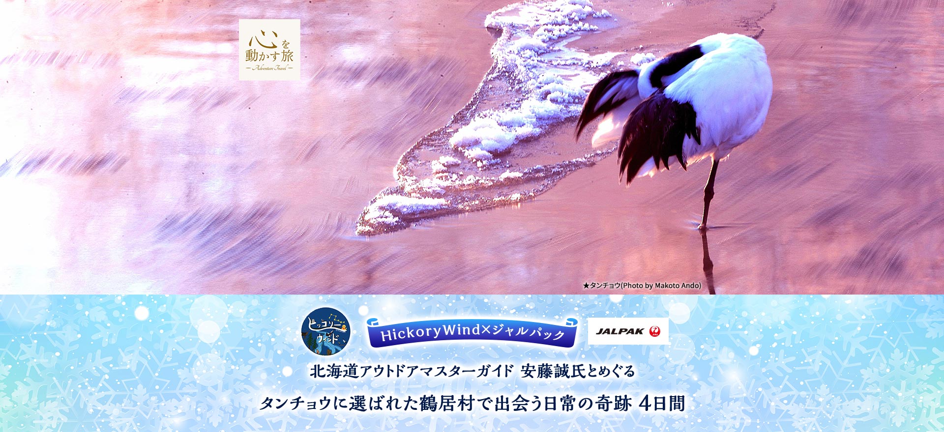 心を動かす旅　HickoryWind×ジャルパック　北海道アウトドアマスターガイド 安藤誠氏とめぐる　タンチョウに選ばれた鶴居村で出会う日常の奇跡　4日間