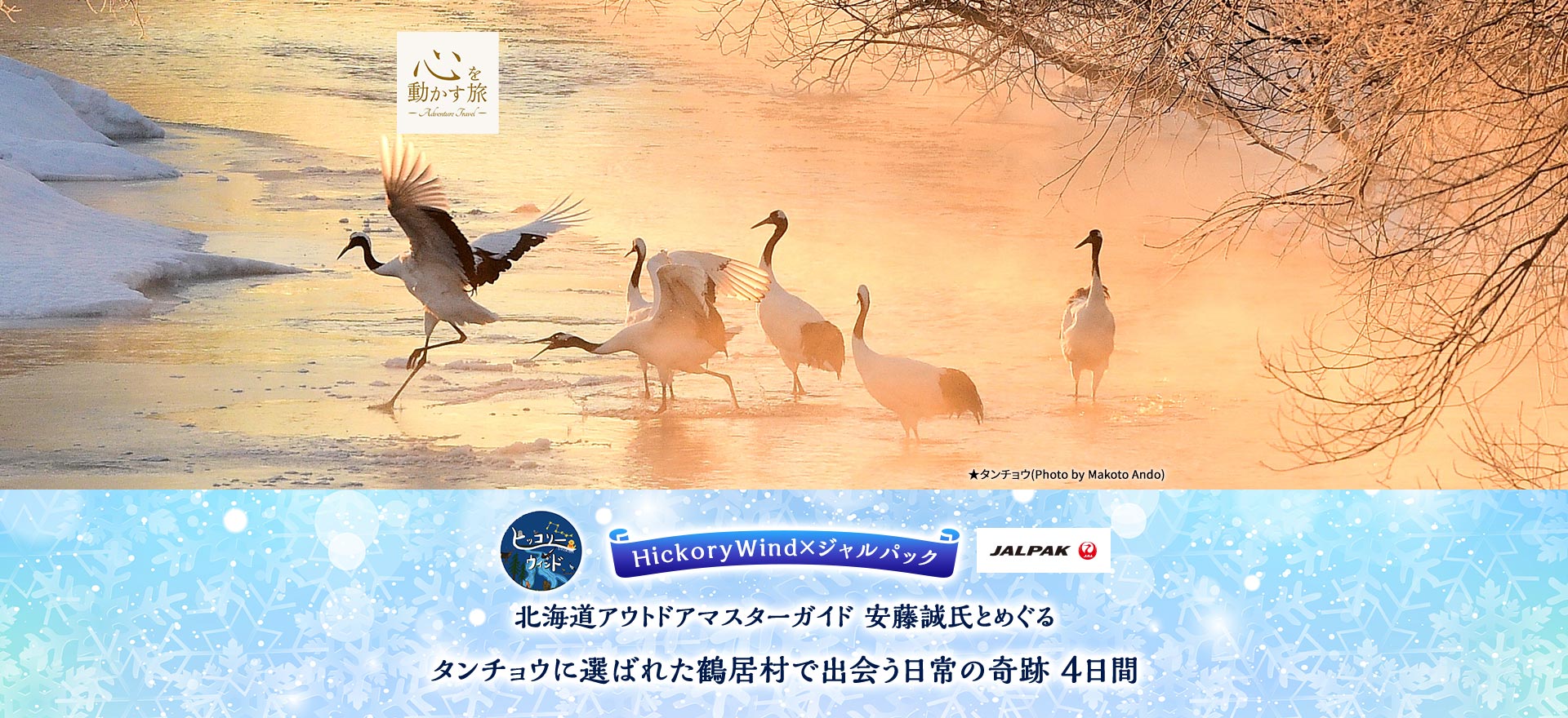 心を動かす旅　HickoryWind×ジャルパック　北海道アウトドアマスターガイド 安藤誠氏とめぐる　タンチョウに選ばれた鶴居村で出会う日常の奇跡　4日間