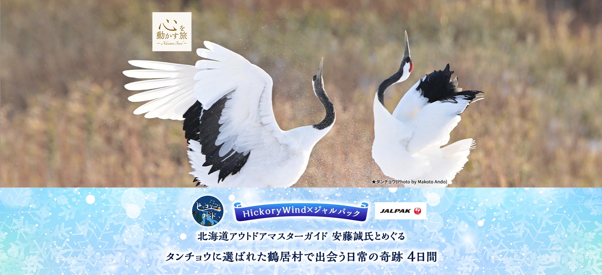 心を動かす旅　HickoryWind×ジャルパック　北海道アウトドアマスターガイド 安藤誠氏とめぐる　タンチョウに選ばれた鶴居村で出会う日常の奇跡　4日間