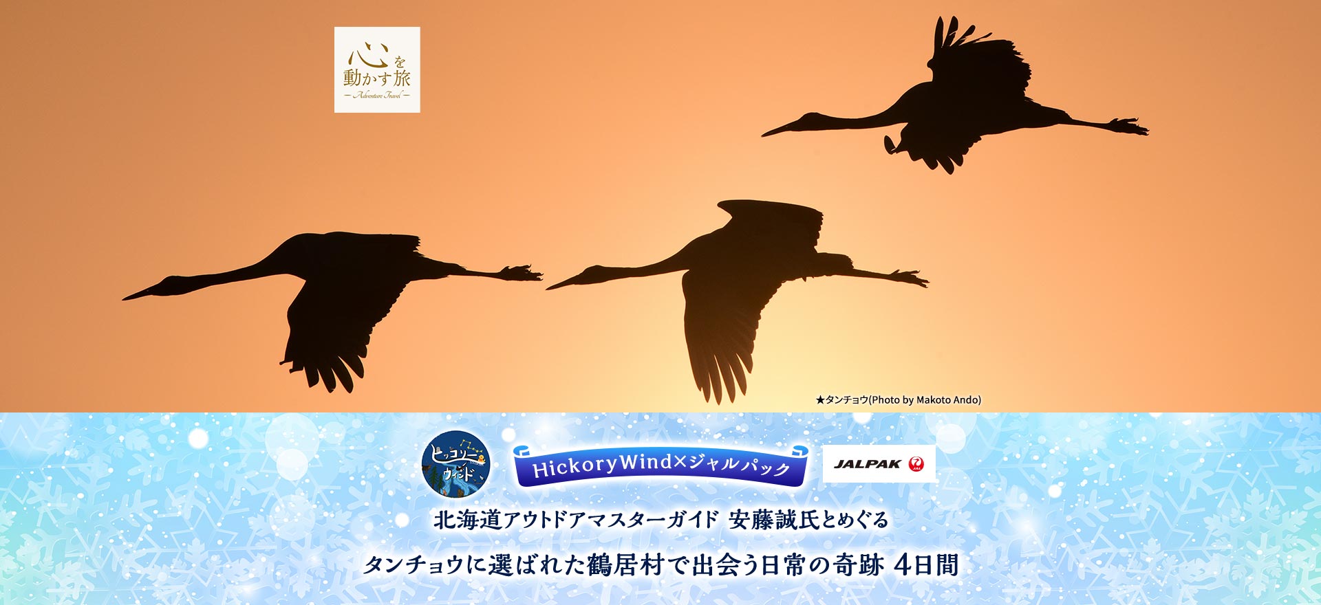 心を動かす旅　HickoryWind×ジャルパック　北海道アウトドアマスターガイド 安藤誠氏とめぐる　タンチョウに選ばれた鶴居村で出会う日常の奇跡　4日間