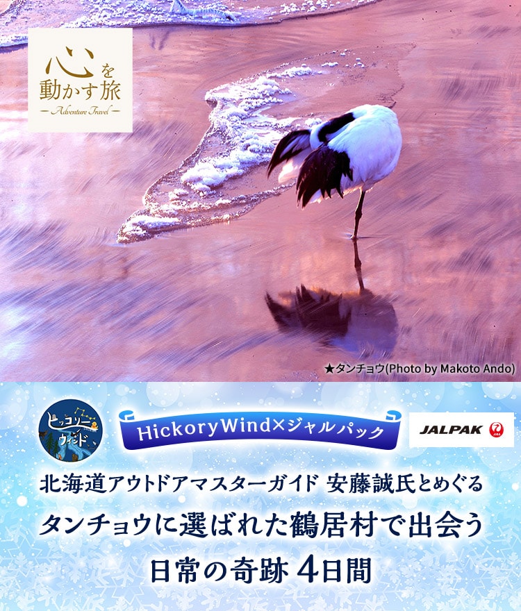 心を動かす旅　HickoryWind×ジャルパック　北海道アウトドアマスターガイド 安藤誠氏とめぐる　タンチョウに選ばれた鶴居村で出会う日常の奇跡　4日間
