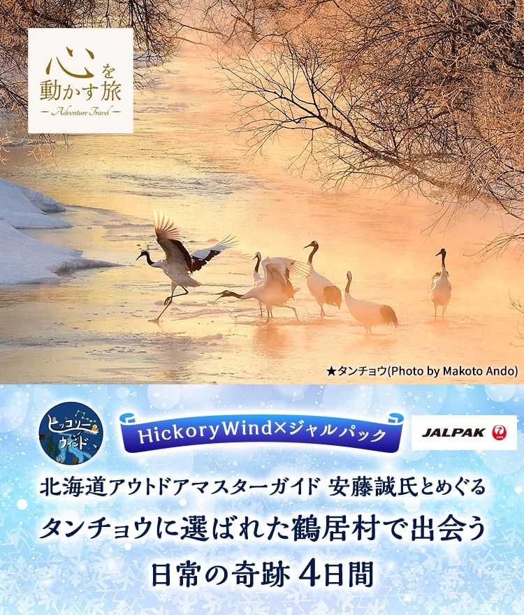 心を動かす旅　HickoryWind×ジャルパック　北海道アウトドアマスターガイド 安藤誠氏とめぐる　タンチョウに選ばれた鶴居村で出会う日常の奇跡　4日間