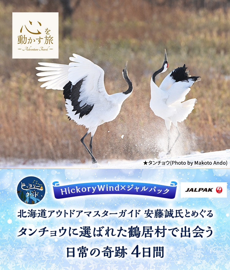 心を動かす旅　HickoryWind×ジャルパック　北海道アウトドアマスターガイド 安藤誠氏とめぐる　タンチョウに選ばれた鶴居村で出会う日常の奇跡　4日間