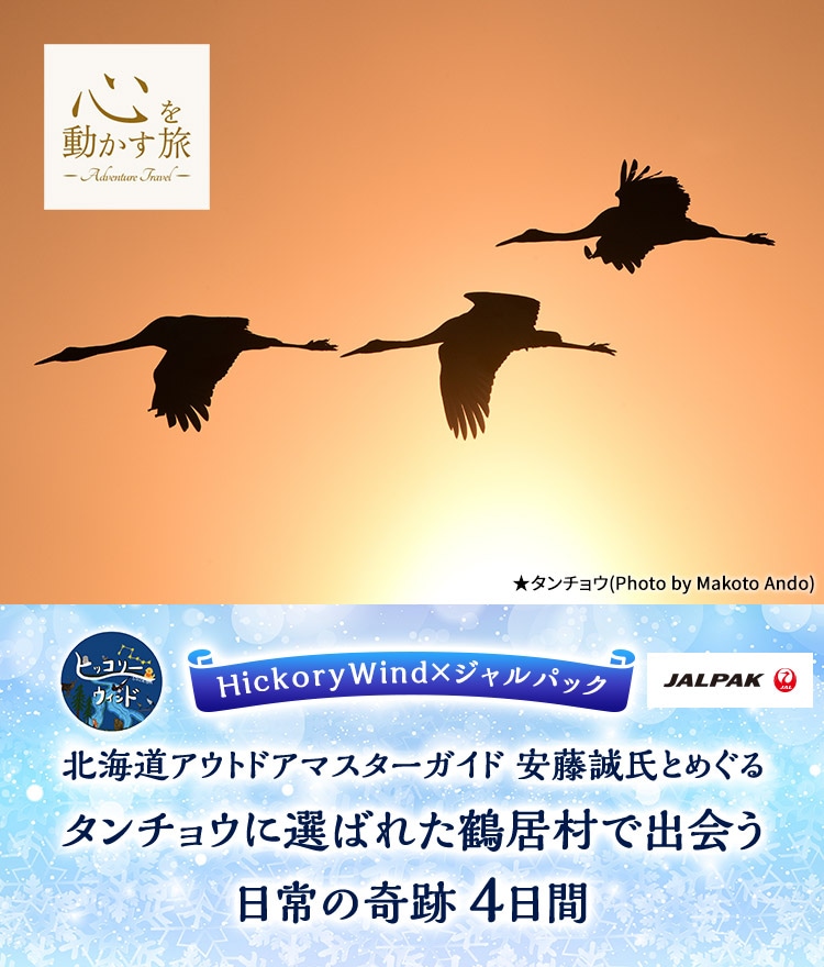 心を動かす旅　HickoryWind×ジャルパック　北海道アウトドアマスターガイド 安藤誠氏とめぐる　タンチョウに選ばれた鶴居村で出会う日常の奇跡　4日間