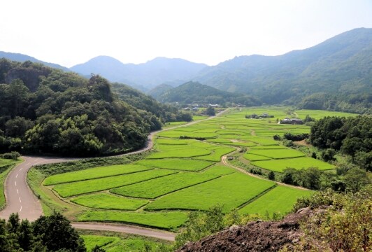 田染荘（たしぶのしょう）