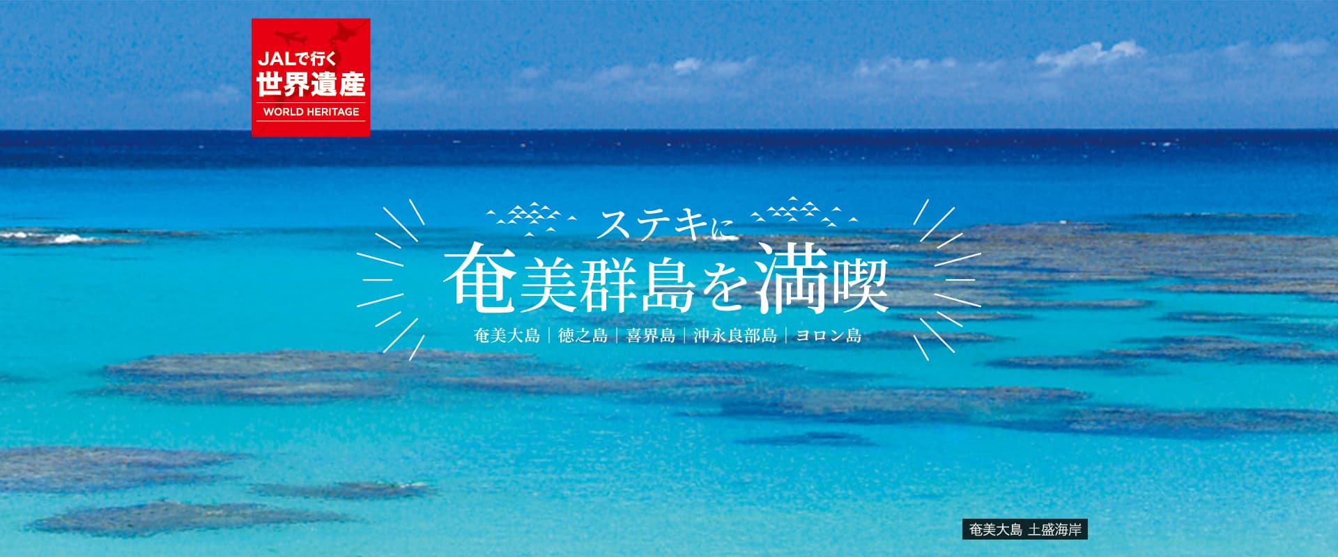 奄美大島 土盛海岸