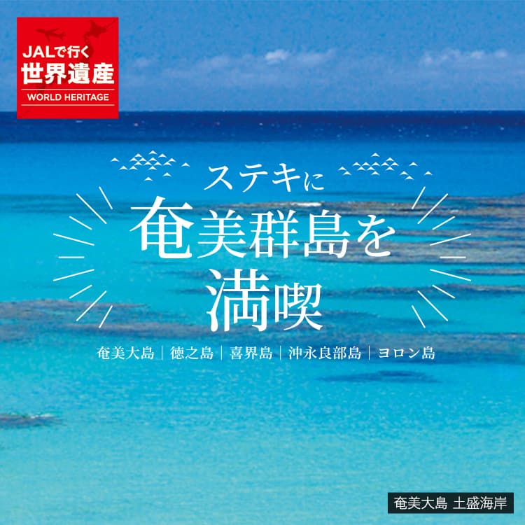 奄美大島 土盛海岸