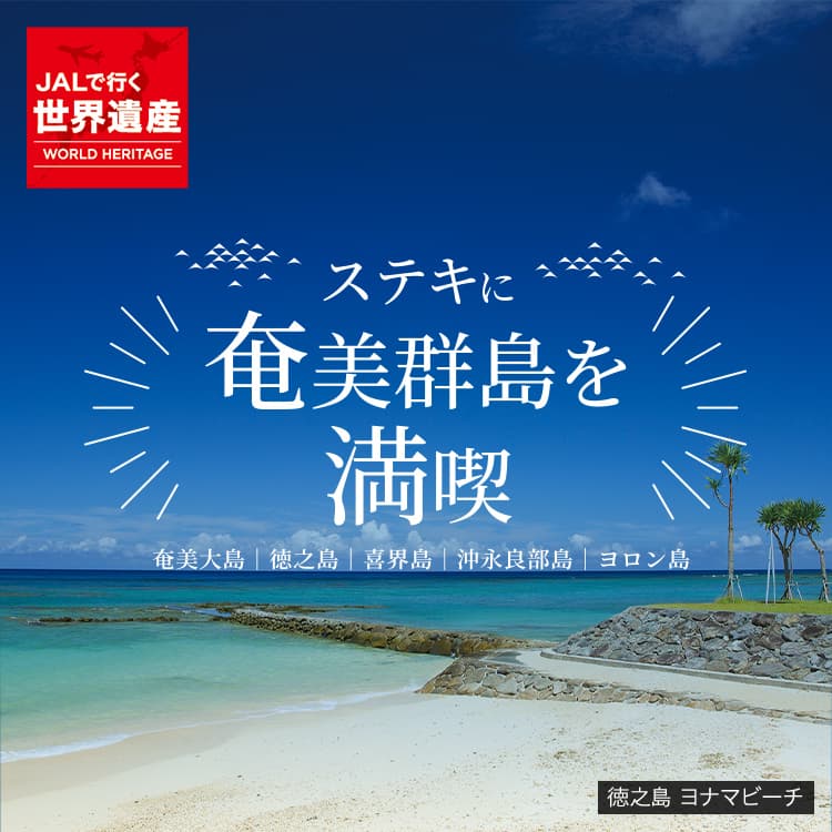 徳之島 ヨナマビーチ