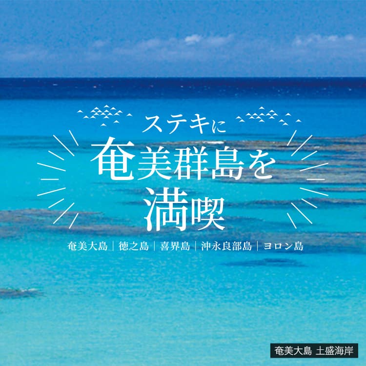 奄美大島 土盛海岸