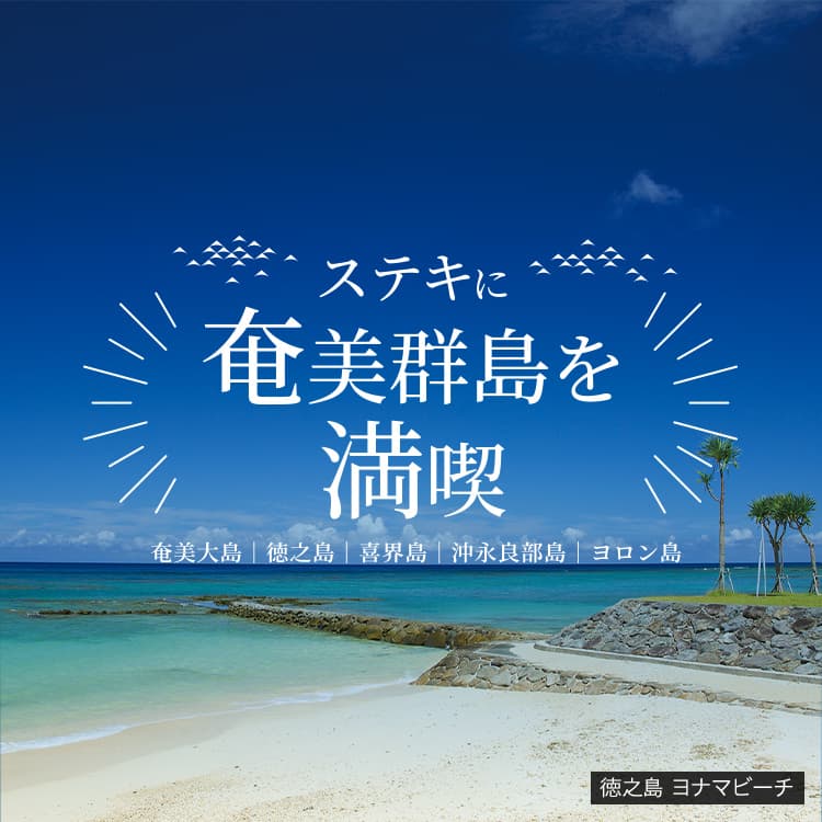 徳之島 ヨナマビーチ