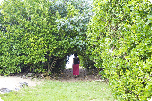 伝泊　徳之島（伊仙町）海みるテラスの宿小道