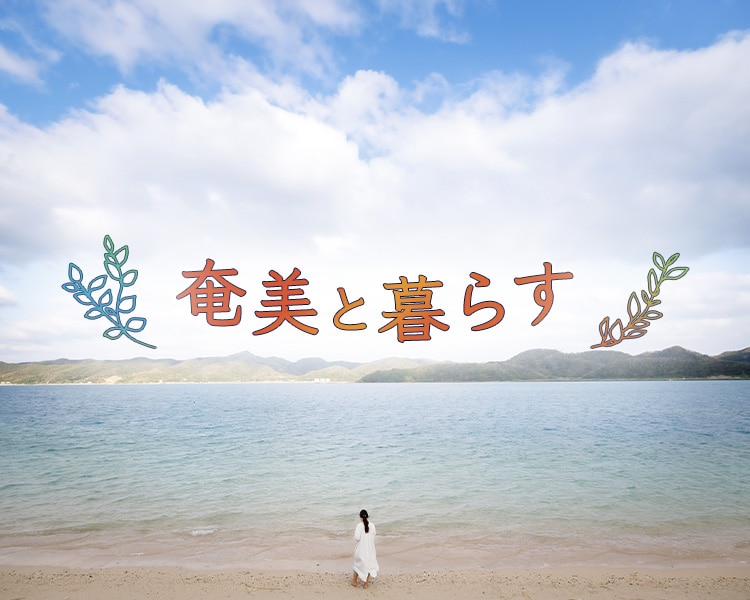 奄美と暮らす