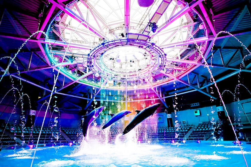 マクセル アクアパーク品川