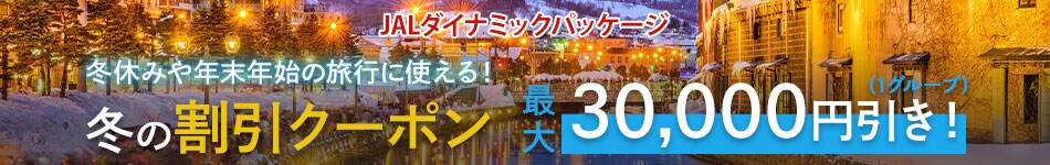 JALダイナミックパッケージ　冬休みや年末年始の旅行に使える！冬の割引クーポン　1グループ最大30,000円割引！