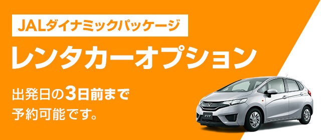 レンタカーオプション 奄美群島 屋久島 種子島 Jalダイナミックパッケージ Jal国内ツアー