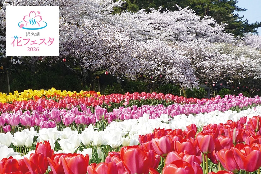 浜名湖花フェスタ2026
