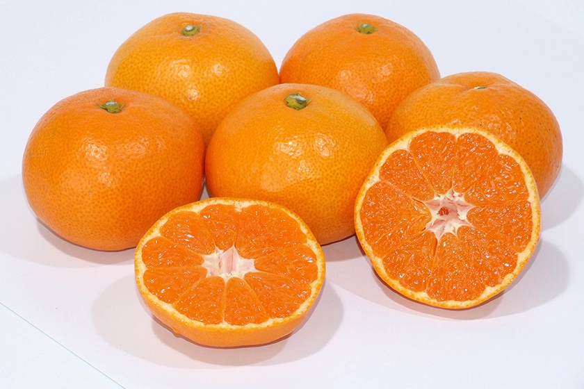 みかん（片山）