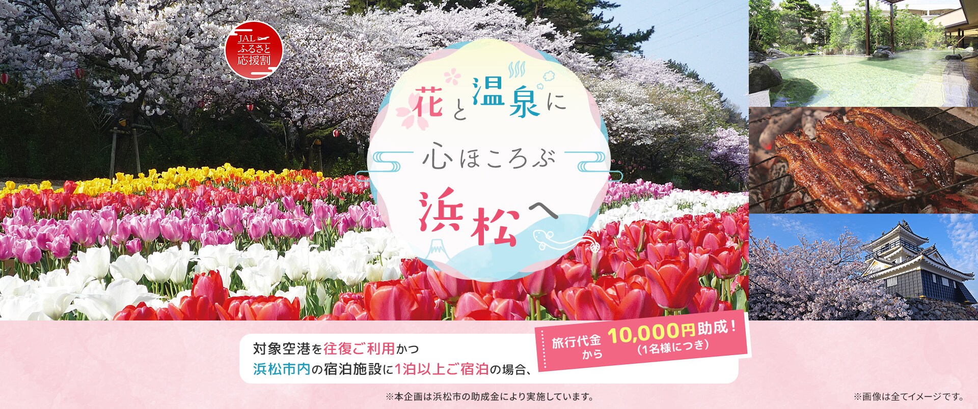 JALふるさと応援割　花と温泉に心ほころぶ浜松へ