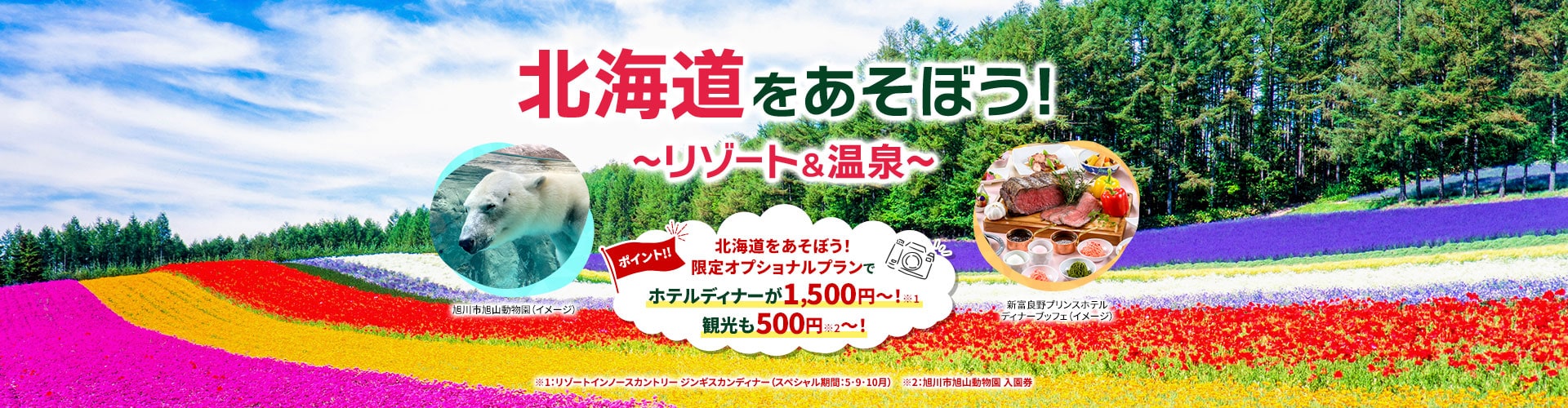 北海道をあそぼう！リゾート＆温泉 ポイント！！北海道をあそぼう！限定オプショナルプランでホテルディナーが1,500円から！※1 観光も500円から※2！※1：リゾートインノースカントリー ジンギスカンディナー（スペシャル期間：5･9･10月） ※2:旭川市旭山動物園 入園券