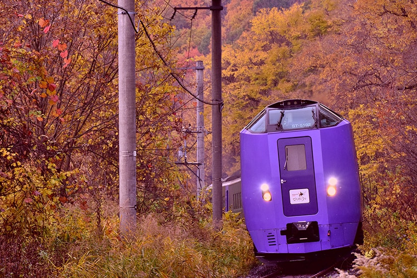 261系5000代「ラベンダー編成」