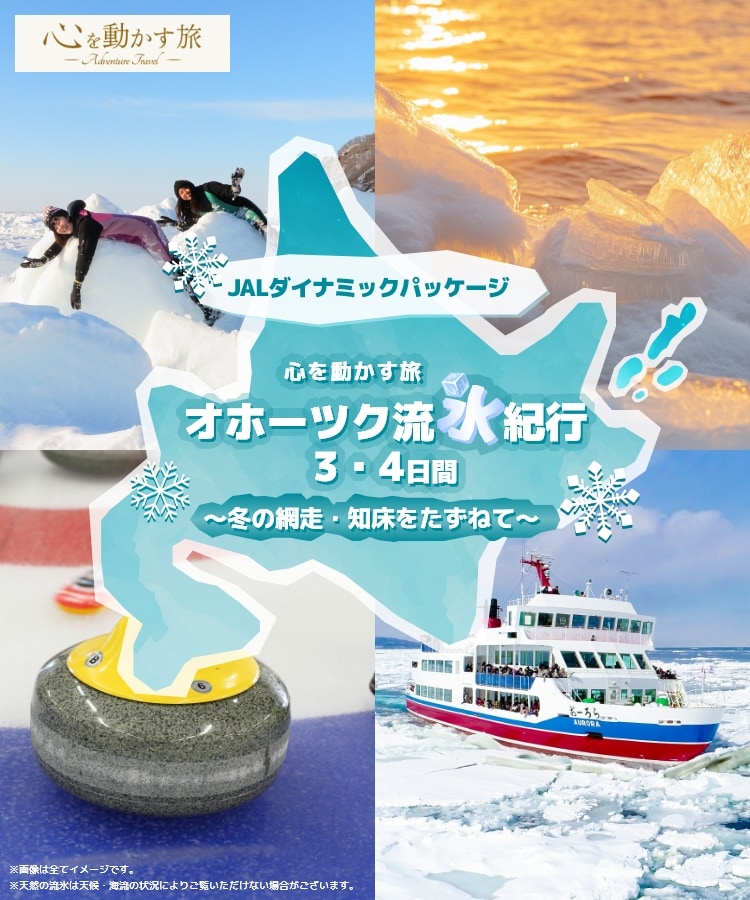 オホーツク流氷紀行　冬の網走・知床をたずねて