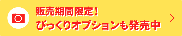 販売期間限定！びっくりオプションも発売中