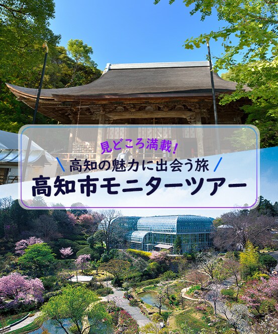 Jalパック 高知市モニターツアー Jalパック 高知市モニターツアー
