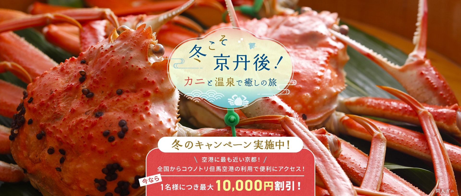 冬こそ京丹後！カニと温泉で癒しの旅 冬こそ 京丹後！ キャンペーン実施中！ 今なら1名様につき最大10,000円割引！ 間人ガニ