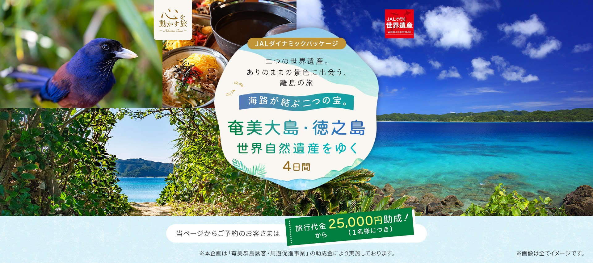 JALで行く 世界遺産 JALダイナミックパッケージ 心を動かす旅 海路が結ぶ二つの宝。奄美大島・徳之島 世界自然遺産をゆく 4日間 二つの世界遺産。ありのままの景色に出会う、離島の旅 25,000円助成 1名様につき 本企画は「奄美群島誘客・周遊促進事業」の助成金により実施しております。