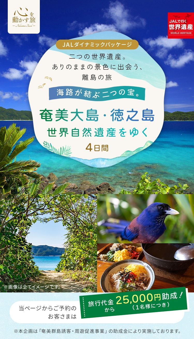 JALパック | 心を動かす旅 海路が結ぶ二つの宝。奄美大島・徳之島 世界