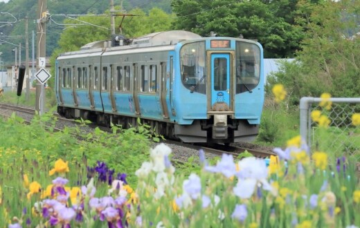 青い森鉄道（1日乗車券／2日乗車券）