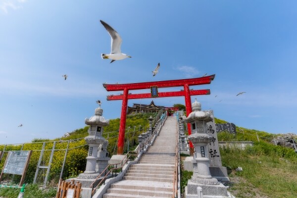 蕪嶋（かぶしま）神社