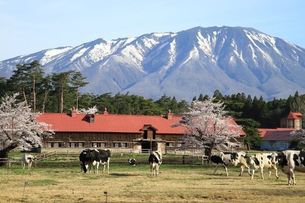 小岩井農場