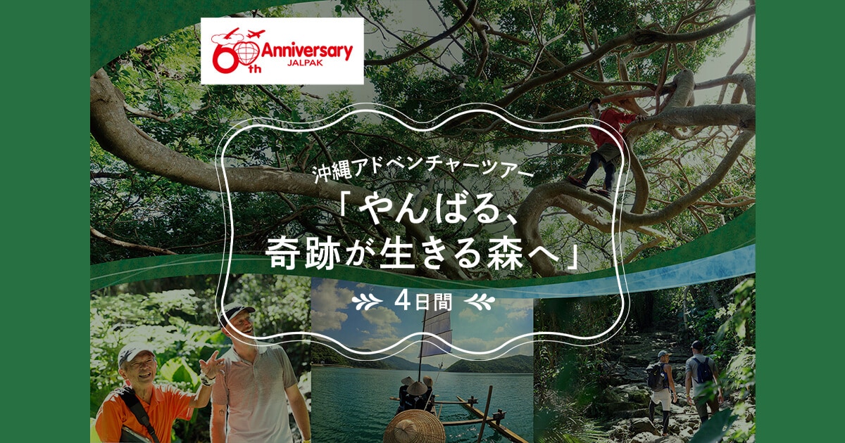 JALパック|沖縄アドベンチャーツアー「やんばる、奇跡が生きる森へ」