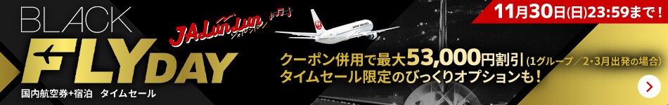 国内航空券＋宿泊　タイムセール